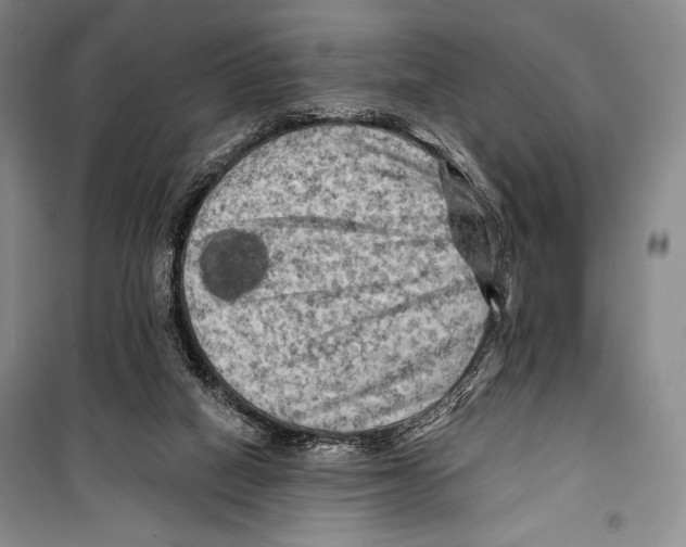 X0000099450066200806061115