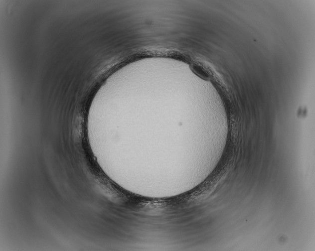 X0000099450071200806061115