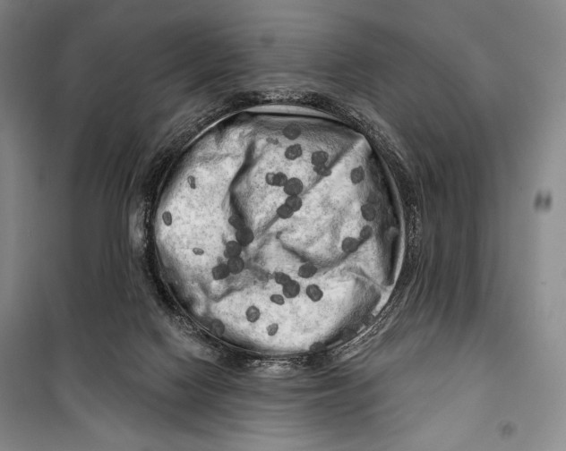 X0000099450074200806061115