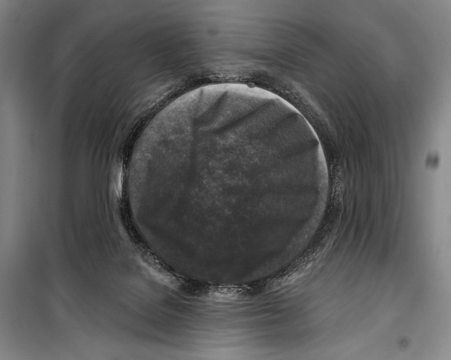 X0000099450076200806061115