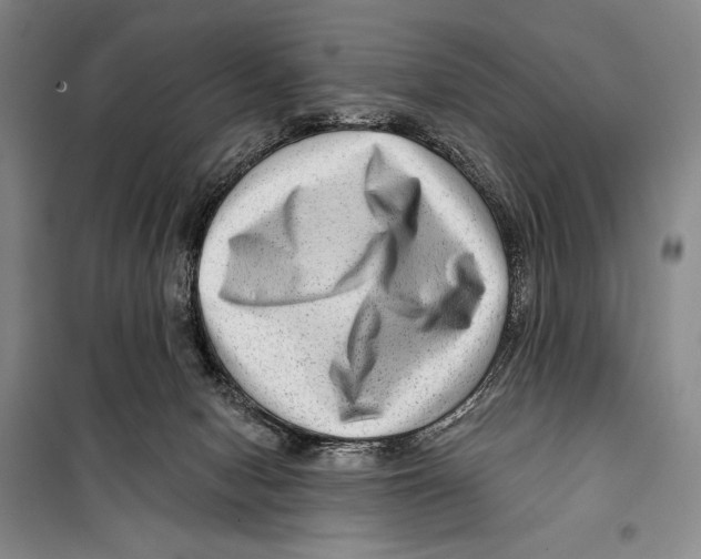 X0000099450078200806061116