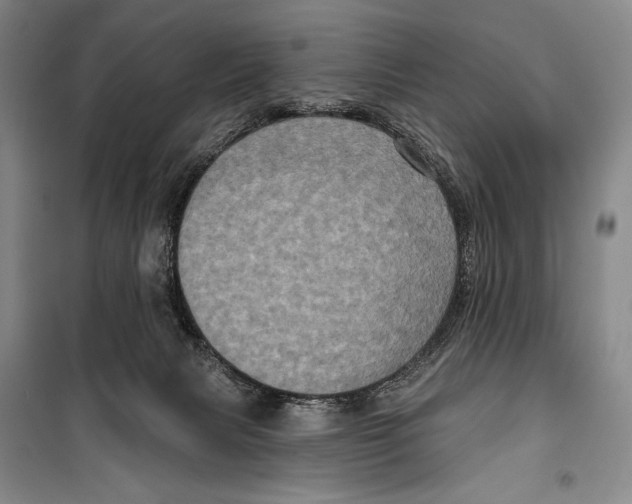 X0000099450079200806061116