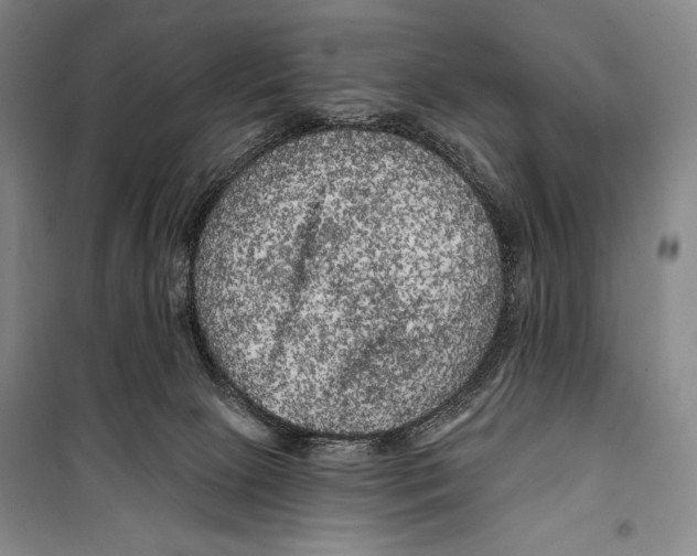 X0000099450081200806061116