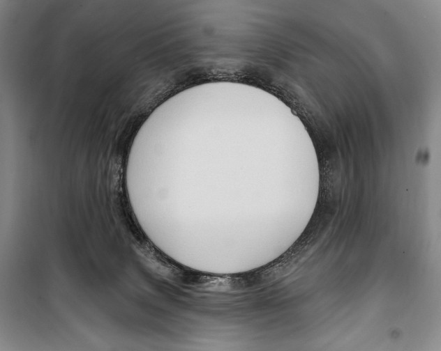 X0000099450083200806061116