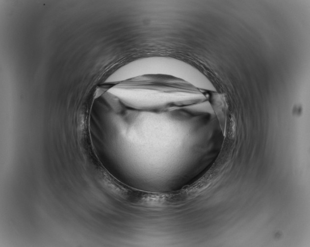 X0000099450084200806061116