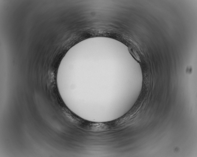 X0000099450087200806061116