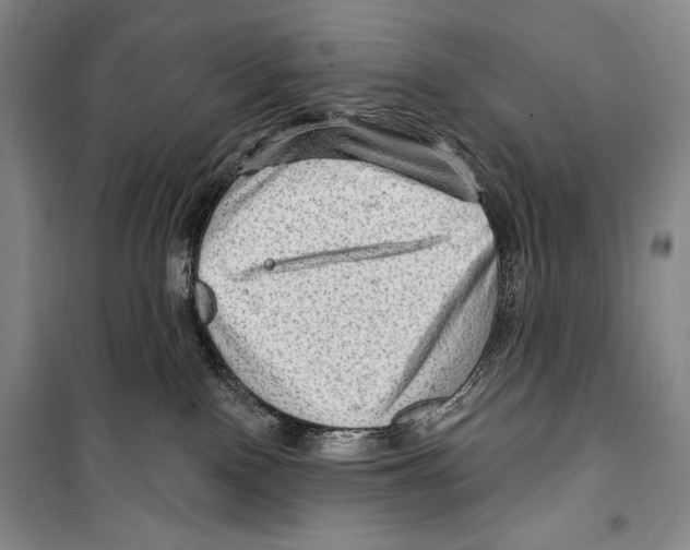 X0000099450090200806061116