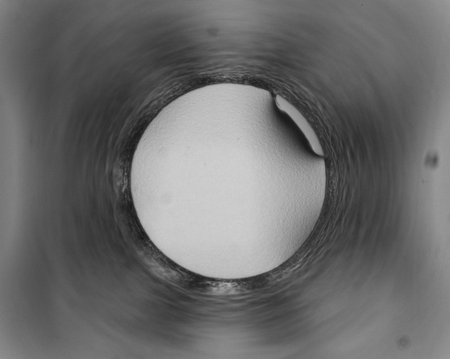 X0000099450091200806061116