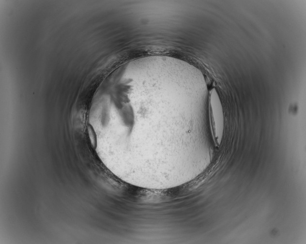 X0000099450093200806061116