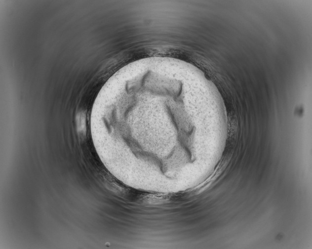 X0000099450094200806061116