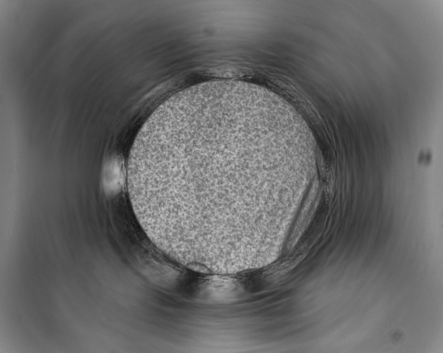 X0000099450095200806061116