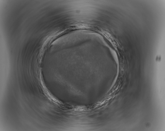 X0000099450097200806061115