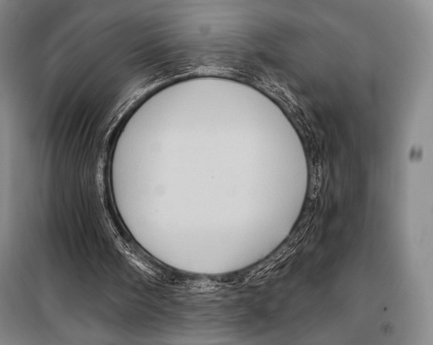 X0000099450098200806061115