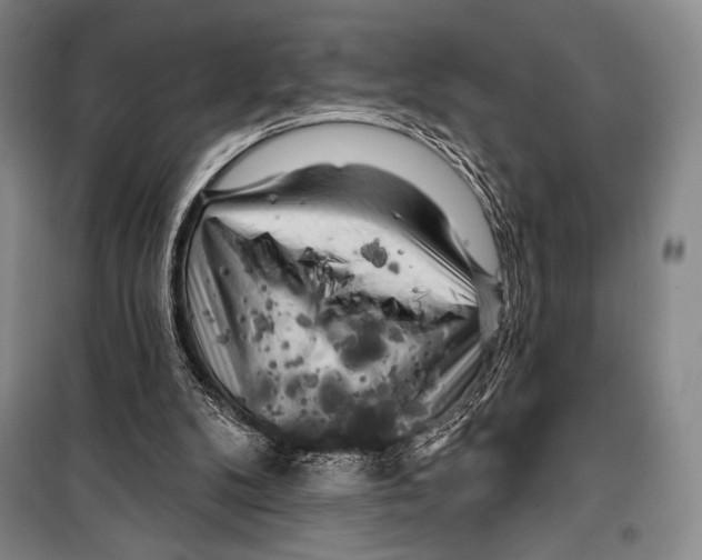 X0000099450104200806061115