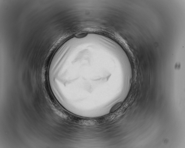 X0000099450106200806061115