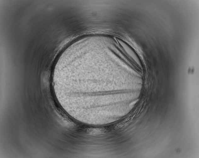 X0000099450107200806061115