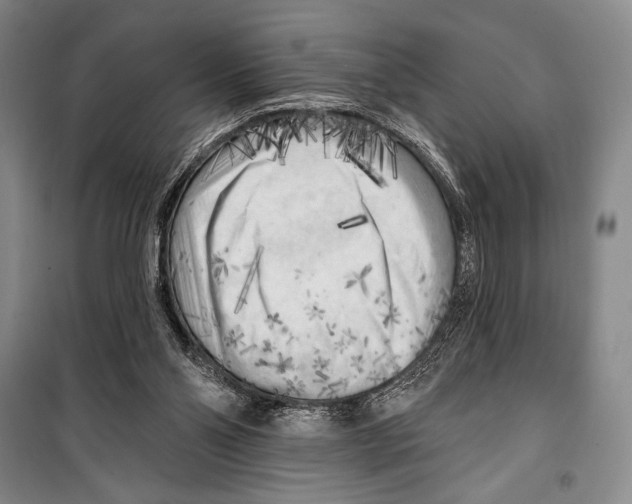 X0000099450110200806061115