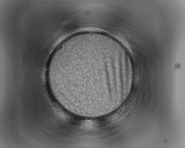 X0000099450111200806061115