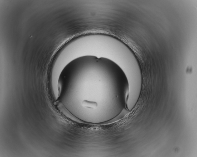 X0000099450112200806061115