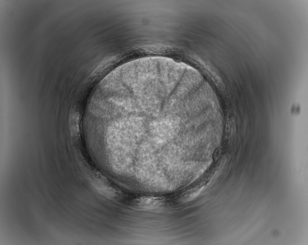 X0000099450117200806061115