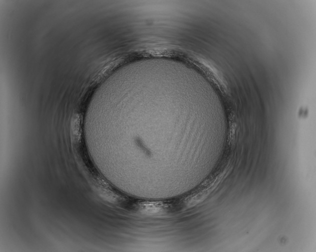 X0000099450121200806061115