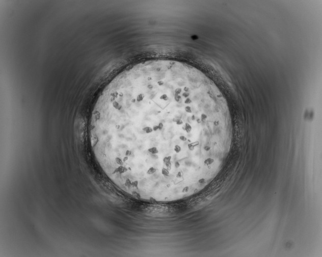 X0000099450123200806061115