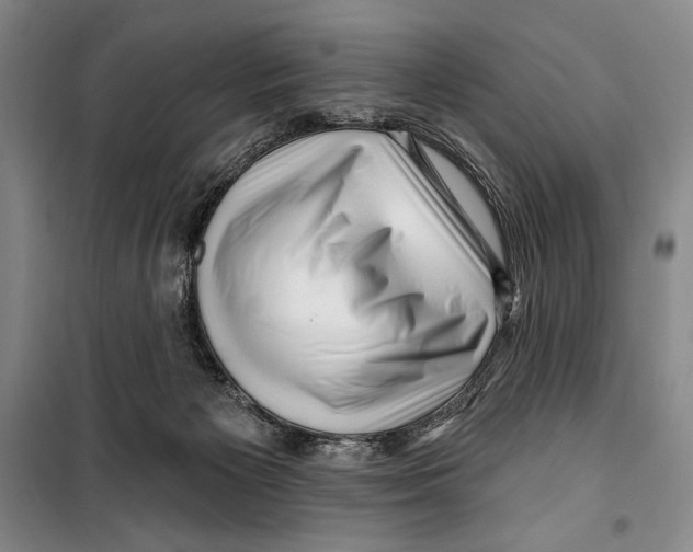 X0000099450125200806061115