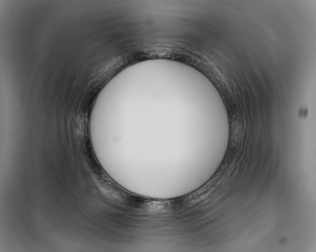 X0000099450126200806061115