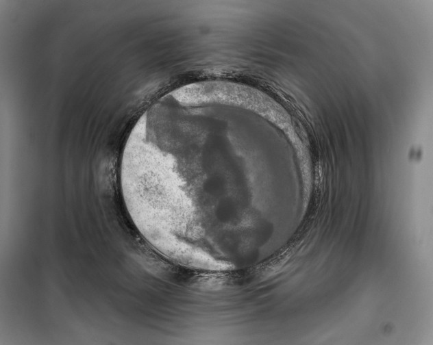 X0000099450127200806061115