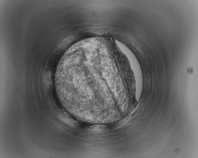 X0000099450128200806061115