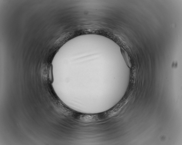 X0000099450129200806061115