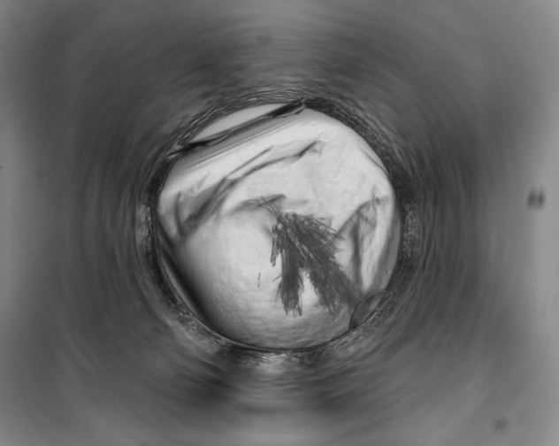 X0000099450130200806061115