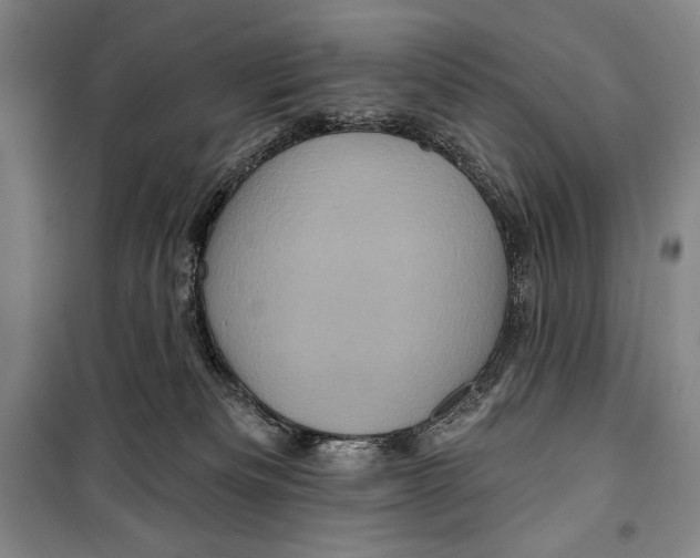 X0000099450133200806061115