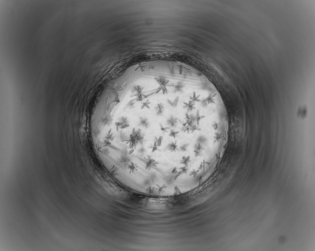 X0000099450134200806061115