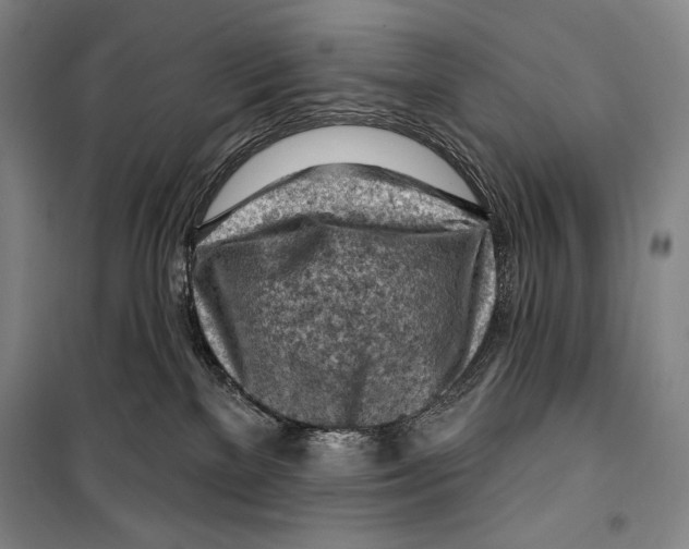 X0000099450137200806061115