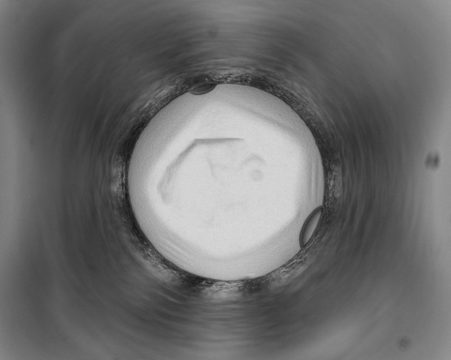 X0000099450138200806061115