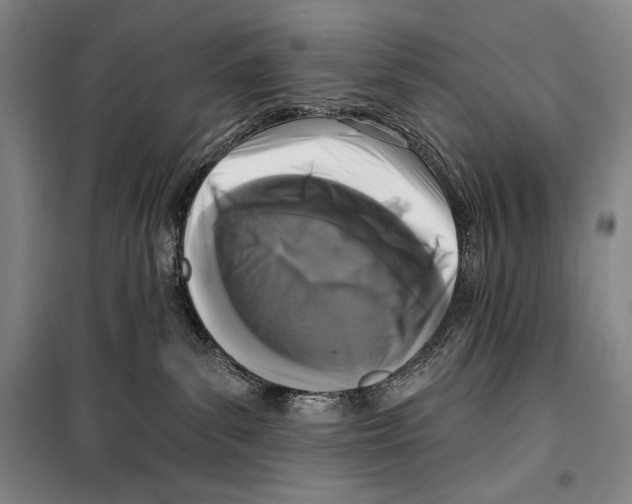 X0000099450139200806061114