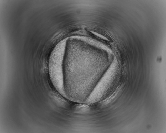 X0000099450140200806061114