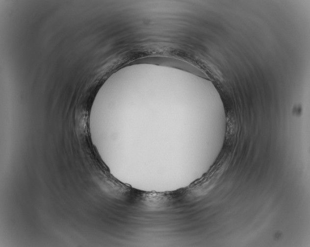 X0000099450141200806061114