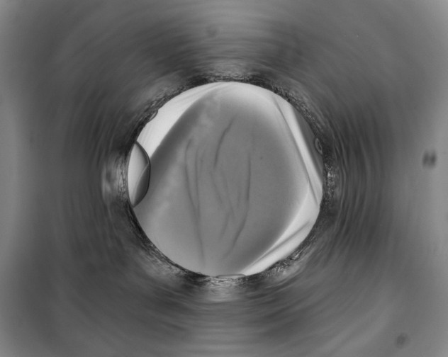 X0000099450143200806061114