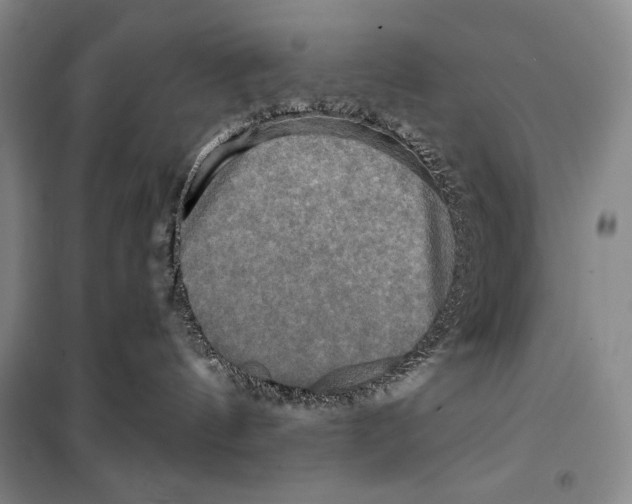 X0000099450144200806061114