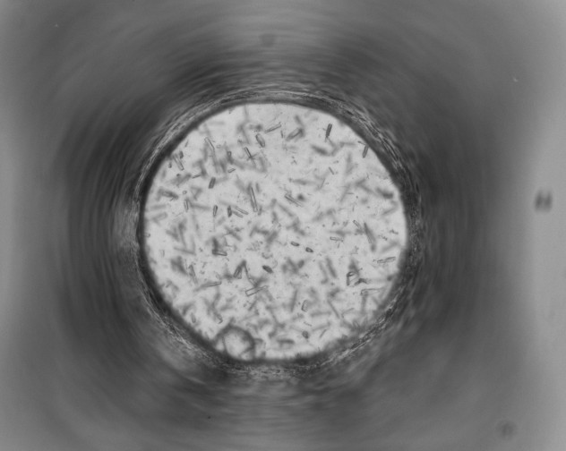 X0000099450146200806061114