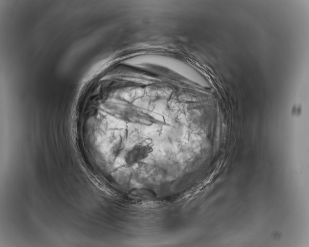 X0000099450149200806061114