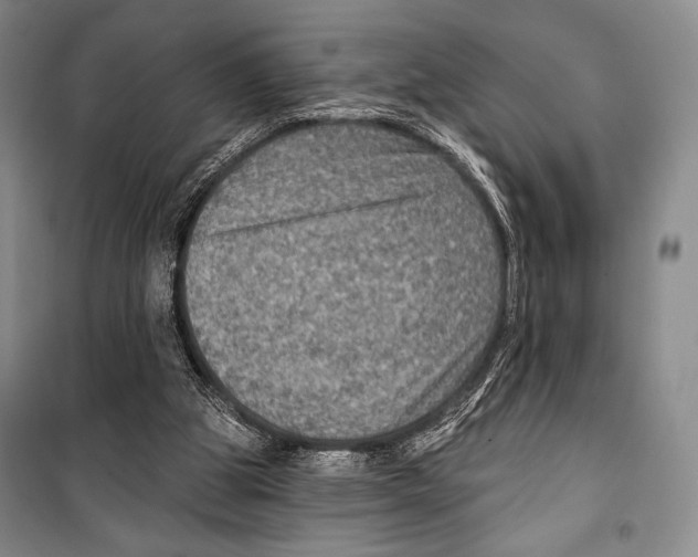 X0000099450153200806061114