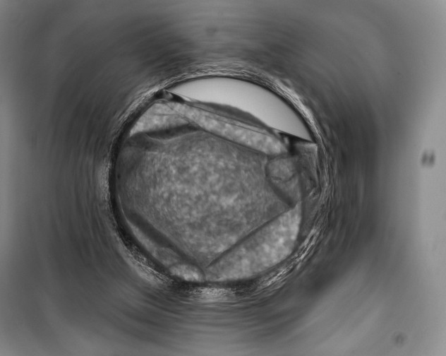 X0000099450154200806061114