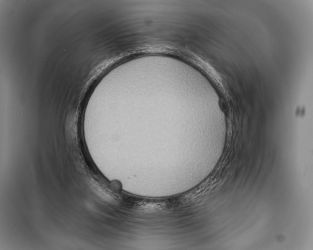 X0000099450155200806061114