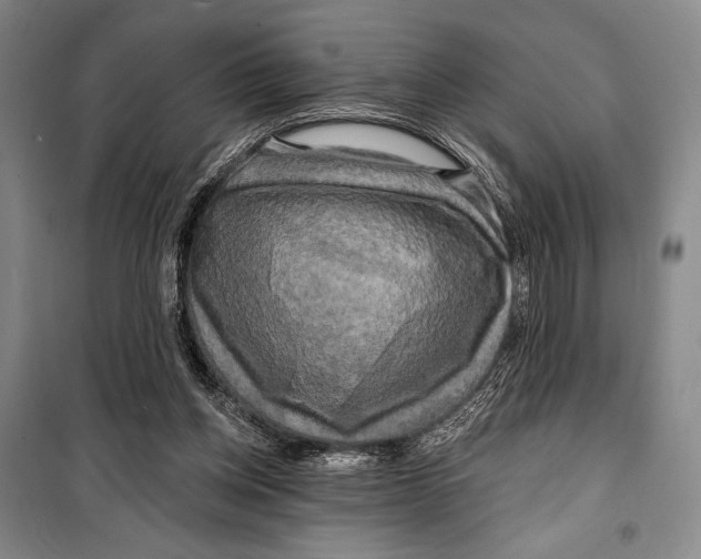 X0000099450158200806061114