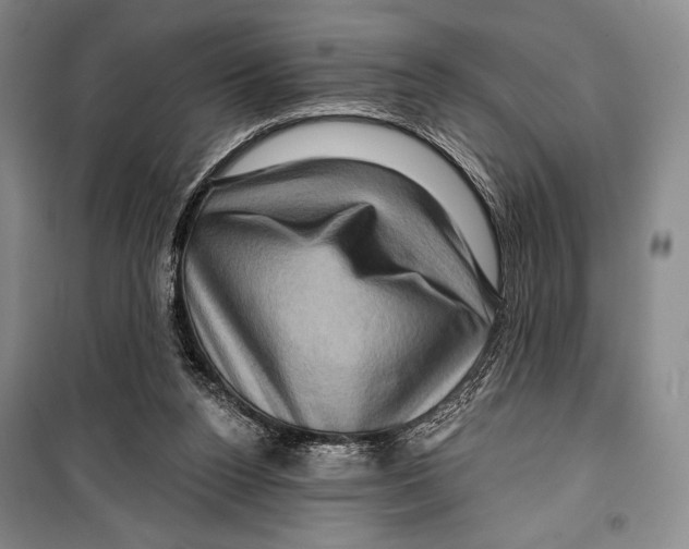 X0000099450160200806061114