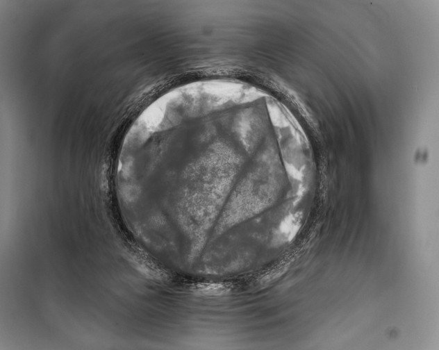 X0000099450161200806061114