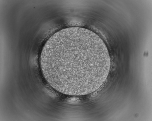 X0000099450162200806061114